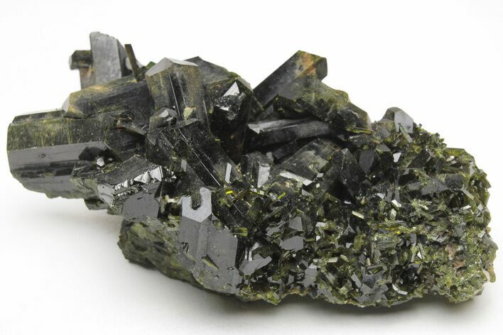 Lustrous, Epidote Crystal Cluster on Actinolite - Pakistan #213439